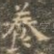 养