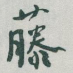 藤
