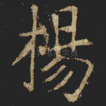 楊