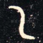 乙