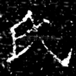 氏