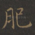 肥