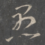 愚