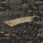 一