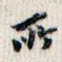 所