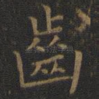 齿