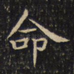 命