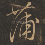 蒲