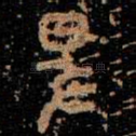 卑