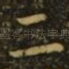 二