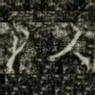以