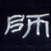 师