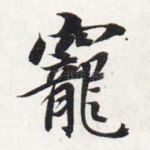 宠
