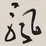 飘