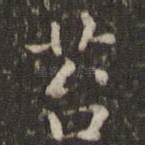 苔
