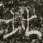 北