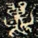 鼉