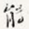 能