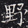 野