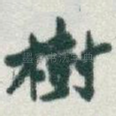 樹