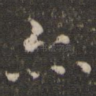 亦