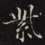 紫