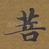 菩
