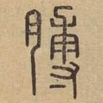 膊
