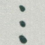 三