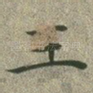 王