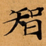 智