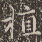 植