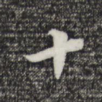 十