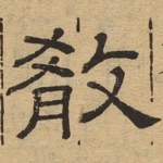殽