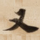 又
