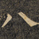 八