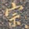 宗