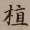 植