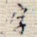 字
