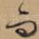 而