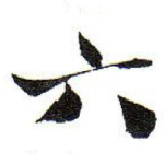 六