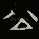 公