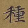 种