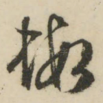 虾