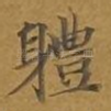 体