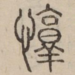惇