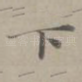 下