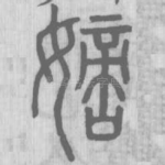 嫡