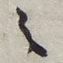 之