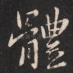 体